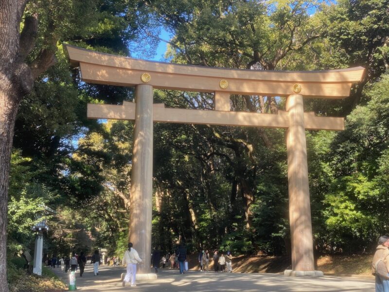 Tokyo, Japan. Image © PlanetSKI